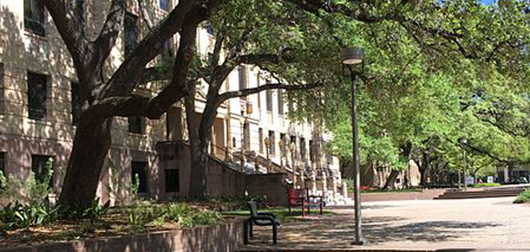 Texas A & M University campus
