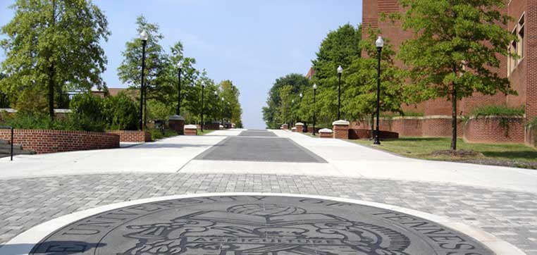 University of Tennessee Knoxville campus