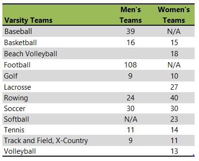 Stetson University athletic team listing