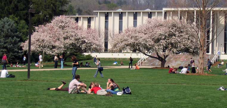 University of North Carolina at Asheville campus