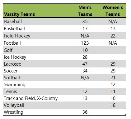Western New England University athletic teams listing