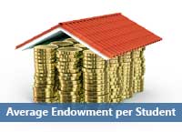 house of gold coins representing average college endowment per student