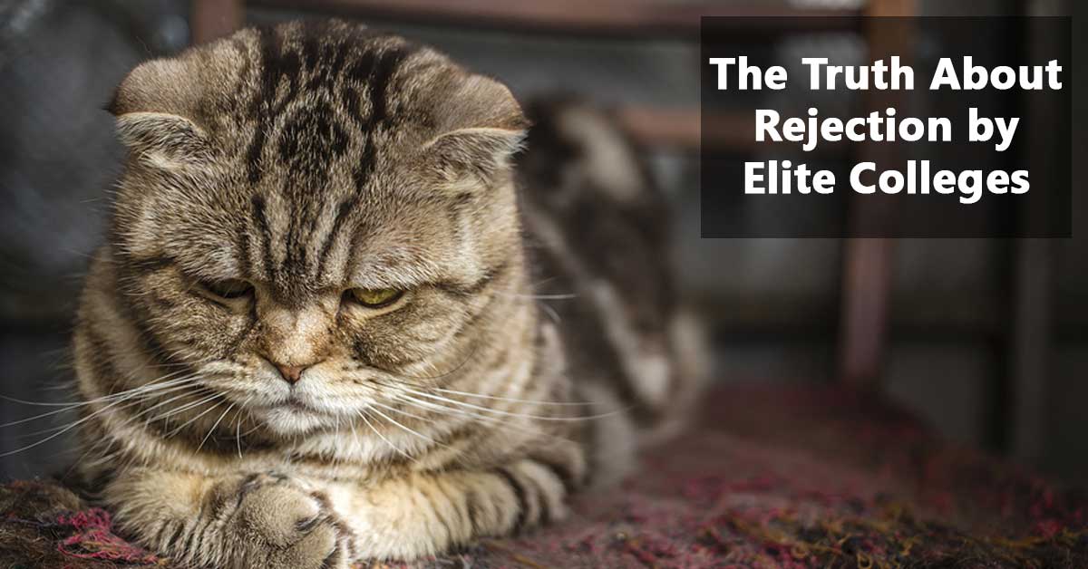 Grumpy-looking cat sitting on a carpet with text overlay: "insights into rejection by elite colleges.