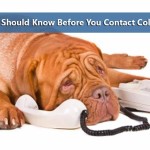 A dog resembling a shar-pei lying down next to a telephone, with its head resting on the receiver. Text above reads "4 things you should know before you contact college coaches.