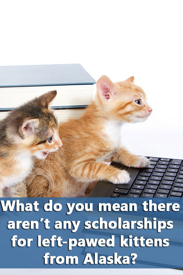 Where to Find the Best Scholarships