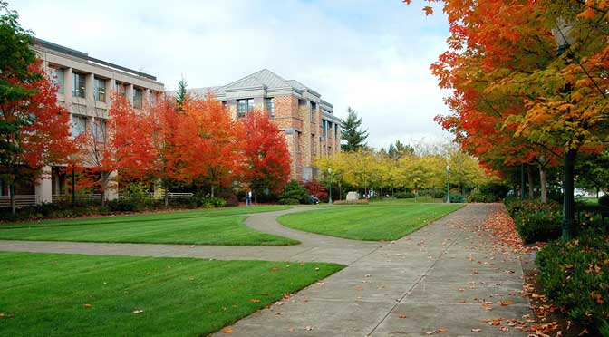 A university campus in autumn with vibrant red and orange trees lining a pathway leading to modern academic buildings, noted in some of the worst college rankings.