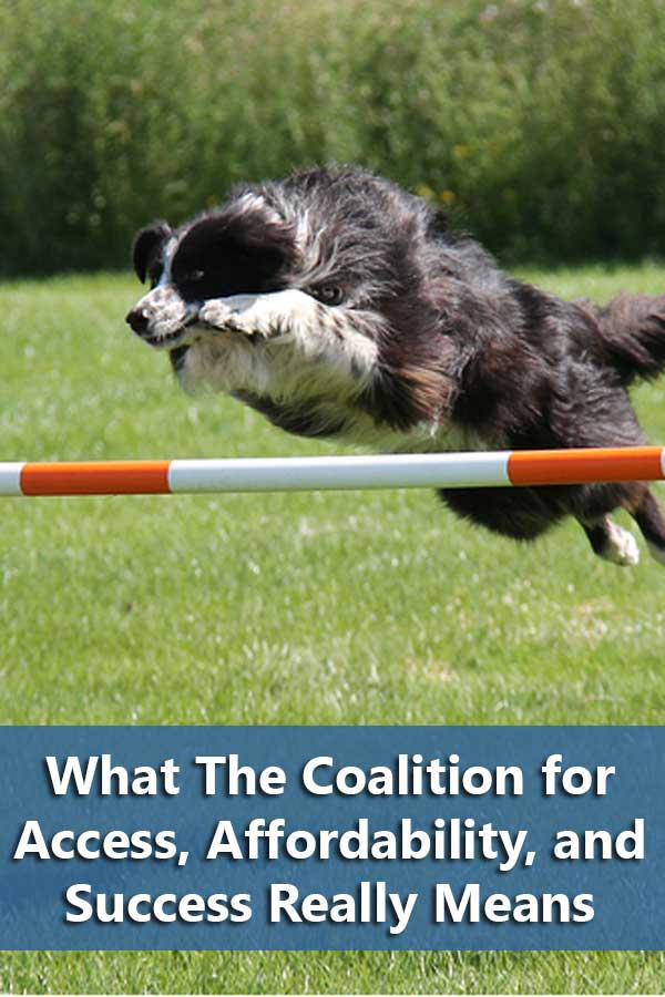 What The Coalition for Access, Affordability, and Success Really Means