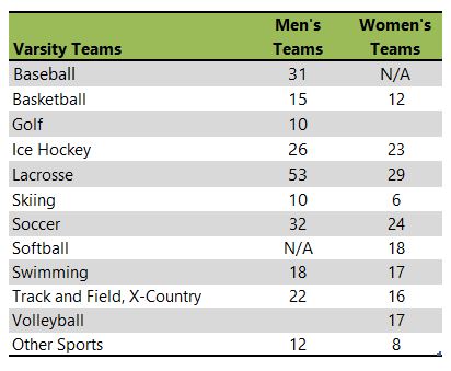 Clarkson University athletic team listing